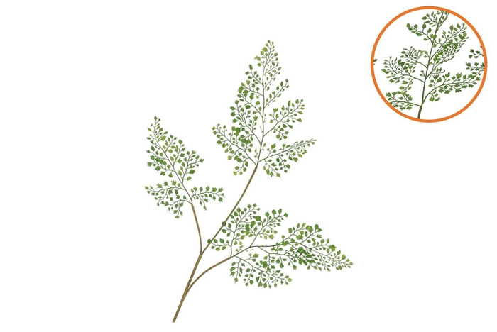 Silk Fern Maiden Hair Green 87cm