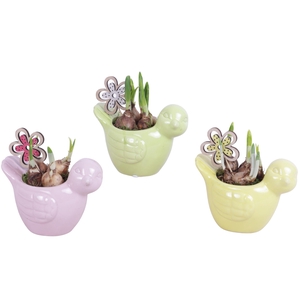 Early Spring Arr. Narcis Ceramic Bird Gr/Pi/Ye Ø16cm 1PP