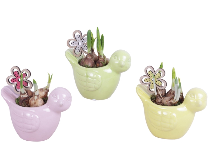 <h4>Early Spring Arr. Narcis Ceramic Bird Gr/Pi/Ye Ø16cm 1PP</h4>