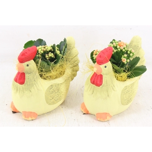 arr2 PL - Keramiek kip yellow x5