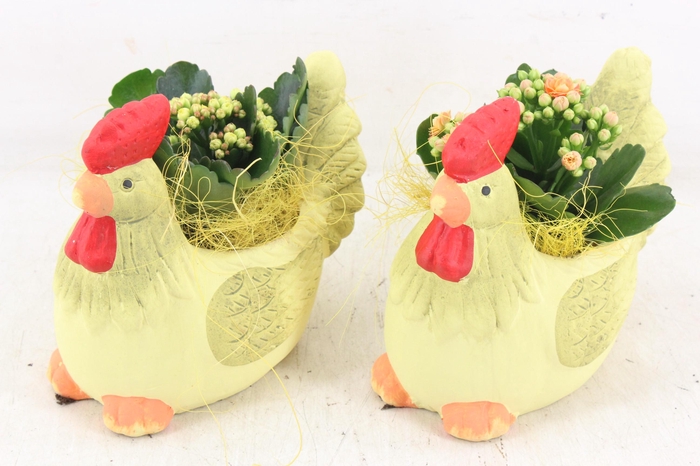 <h4>arr2 PL - Keramiek kip yellow x5</h4>