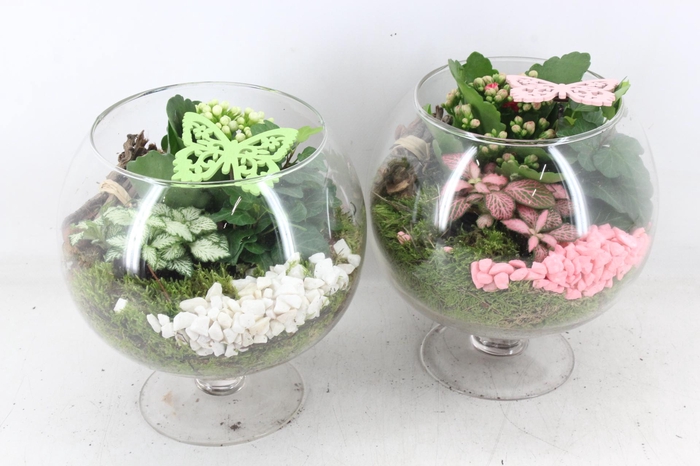 <h4>arr2 MB - Glas op voet x3 - roze/wit</h4>