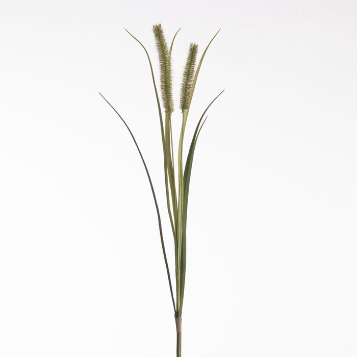 <h4>AF Pennisetum x2 L88cm Green</h4>