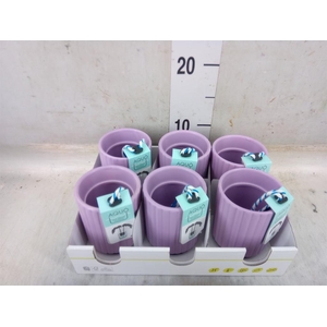 Pot   ...Keramische H%