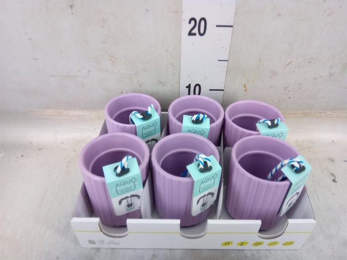 <h4>Pot   ...Keramische H%</h4>