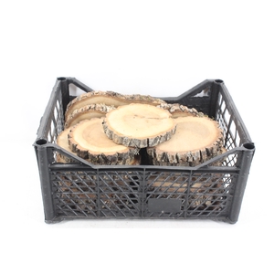 arr3 GB - Eikenschijven rond 15/18cm