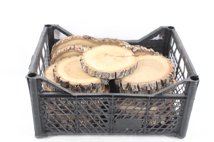 <h4>arr3 GB - Eikenschijven rond 15/18cm</h4>