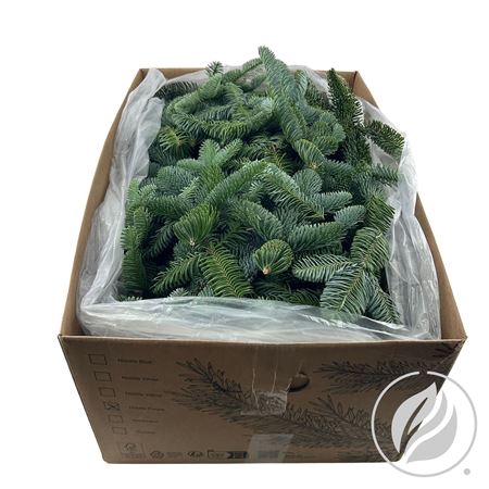 <h4>NOBILIS LILABAND VEERTJES 8KG</h4>