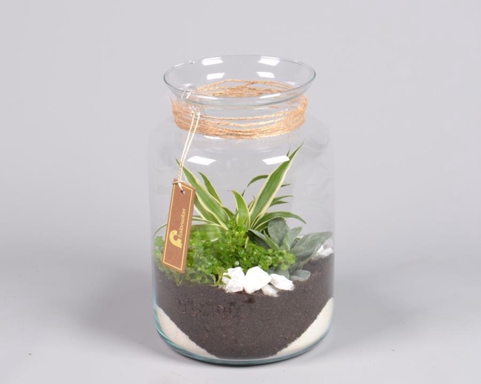 <h4>Glas met minituin arrangement</h4>