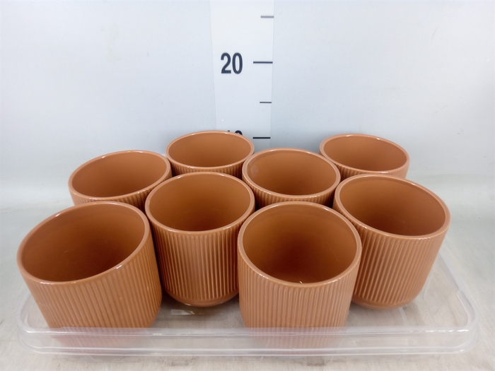 <h4>Pot   ...Keramische H%</h4>