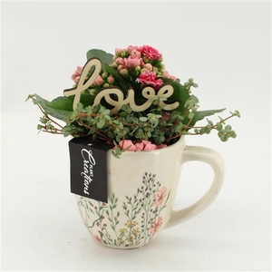 Arrangementen Kalanchoe 6%