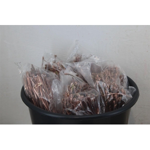 Dennen Needles Copper P Bag