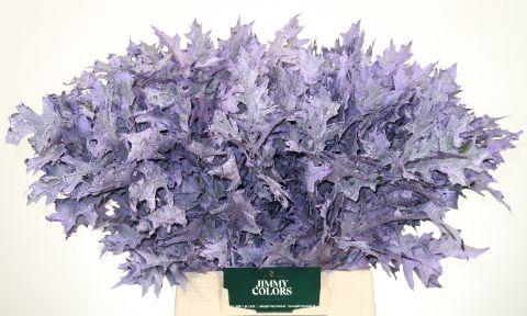 <h4>Quercus Palustris L50 Klbh. milka</h4>