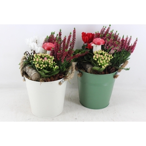 arr4 Outdoor MB - Zink emmer green/white 813/3