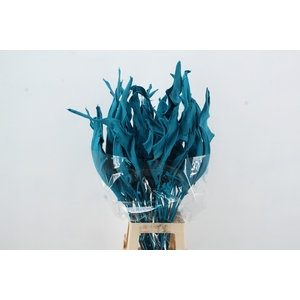 DF Strelitzia Leaf Turquoise