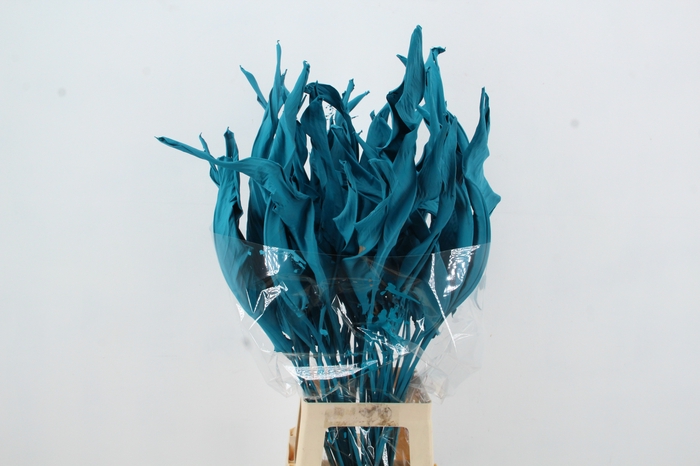<h4>DF Strelitzia Leaf Turquoise</h4>