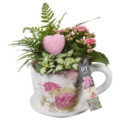 <h4>PTVMB2268 Arrangement Valentines-Mothersday in keramiek kop en schotel</h4>