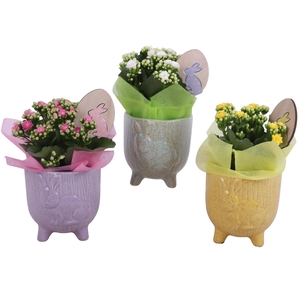 Easter Arr. Indoor Ceramic Pot Round Rabbit Feet Ø11cm 1PP