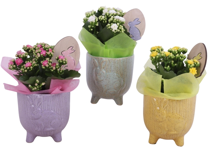 <h4>Easter Arr. Indoor Ceramic Pot Round Rabbit Feet Ø11cm 1PP</h4>