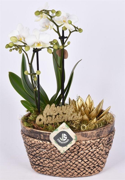 <h4>Cement ovaal koper 20x13,5cm</h4>