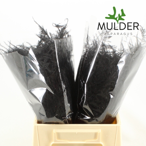 <h4>Asp Klb H% 1e Veren Black</h4>