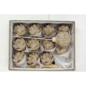 Wax Artichoke Ø8x10cm D.Olive