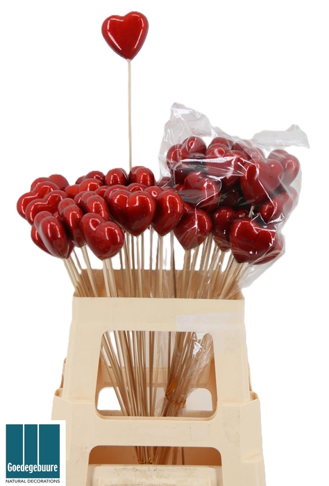 <h4>HARTJE OP STOK H%</h4>