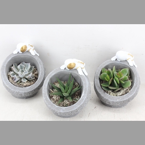 arr3 Demi - Moon landing x6