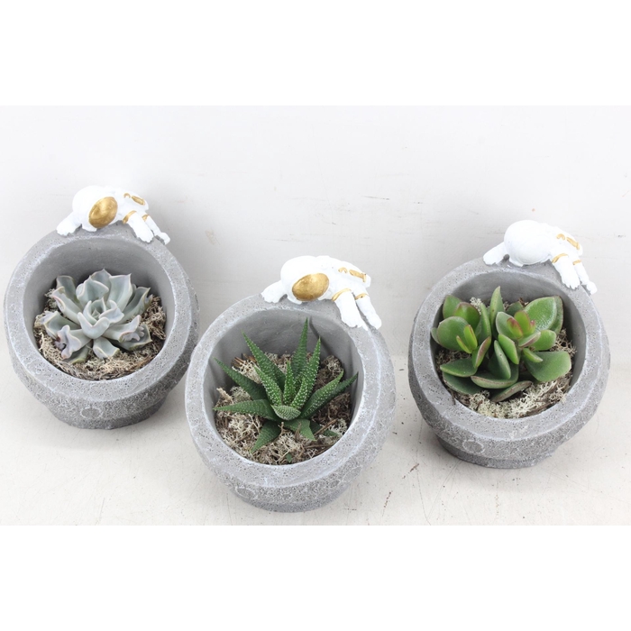 <h4>Arr3 Demi - Moon Landing X6</h4>