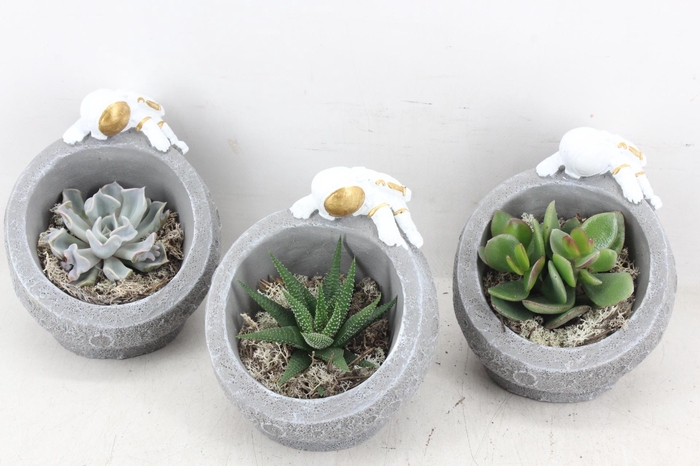 <h4>arr3 Demi - Moon landing x6</h4>