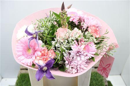 <h4>Gem Boe Middel Rose 25 Stelen Vers</h4>