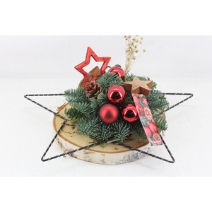 arr5 Kerst MB456 - Hout Schijf ster