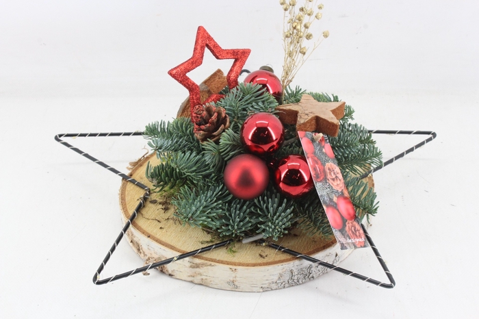 arr5 Kerst MB456 - Hout Schijf ster