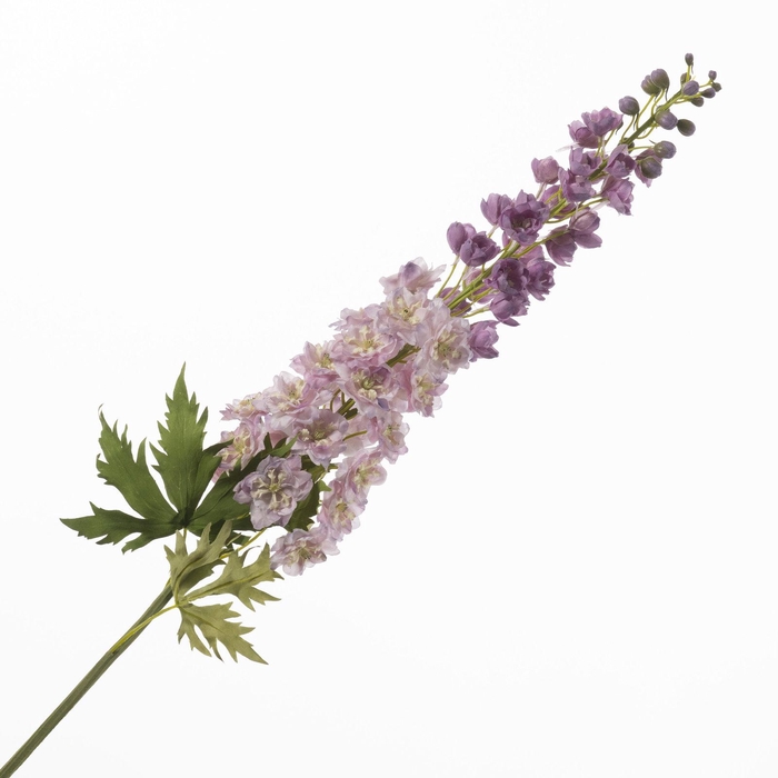 <h4>Delphinium Lavender FL440371LAV</h4>