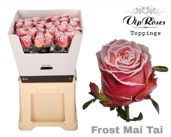 <h4>R GR OV KLB H%</h4>