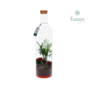 Green Bottle Fles XLarge Love met arrangement