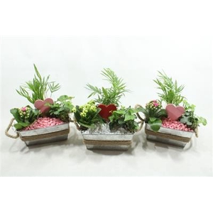 1199 Zink Rh Touw+ Hart