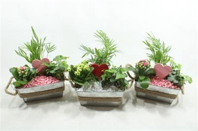 <h4>1199 Zink Rh Touw+ Hart</h4>