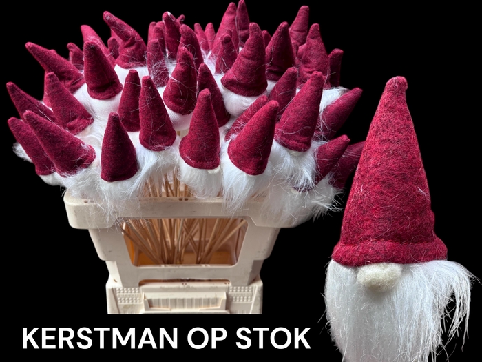 <h4>HUIS EN TUINDECO H%</h4>