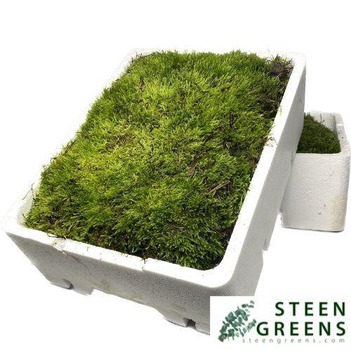 <h4>DEC Platmos</h4>