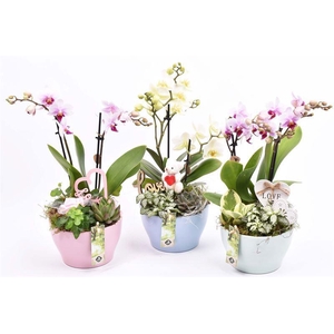 Keramiek schaal kl.mix 15cm