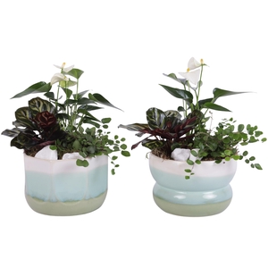 Yearround Arr. Indoor Ceramic Fresh Breeze FB675 Ø17cm 3PP