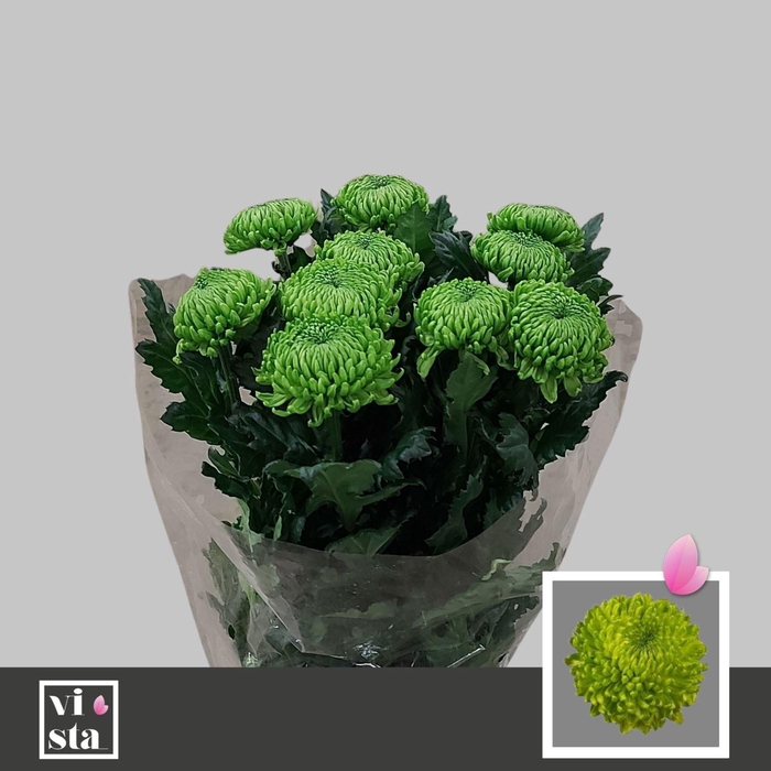 <h4>CHR G ALEMANI 65 GR.</h4>