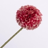 Dahlia Pink FL440337PNK