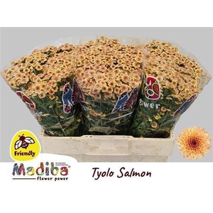 Chr S Mad Tyolo Salm 1200gr