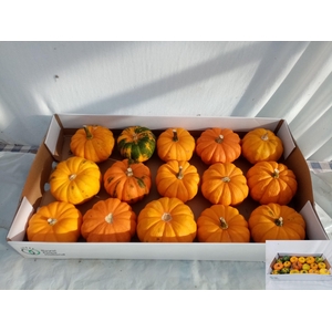 . Cuc Mandarin