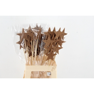 Stick Star Mulch 9cm