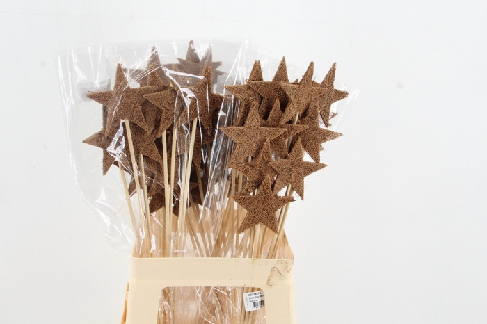 <h4>Stick Star Mulch 9cm</h4>