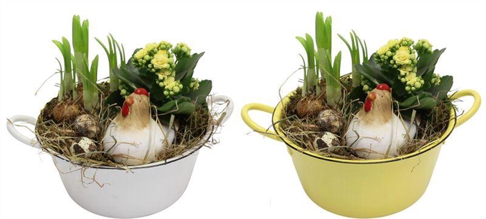 <h4>0249 ZINK MIX TETE GEEL/WIT</h4>