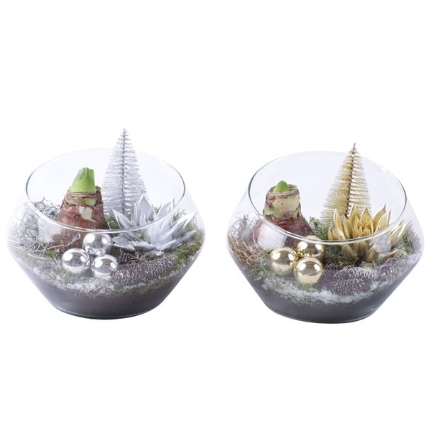 <h4>Christmas Arr. Amaryllis Glass Oblique UFO Vase Ø20cm 2PP</h4>